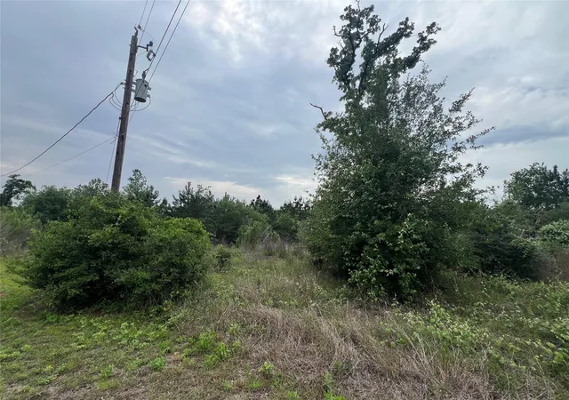 Photo 4 of Land for sale at Tbd Blue Jay Rd, Bastrop, TX 78602 | MLS# 4092819 | Listing updated on 2026-08-20