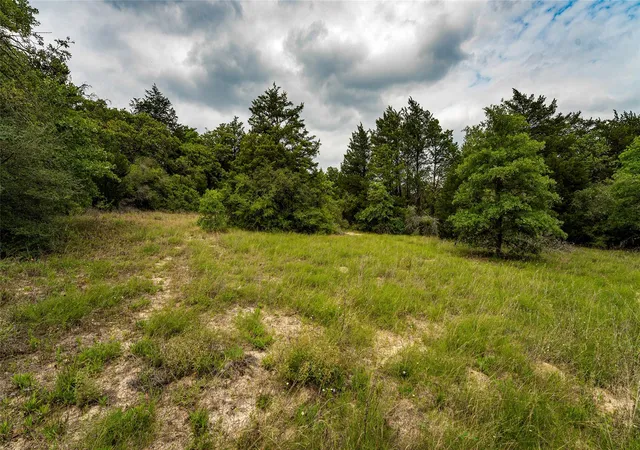 Photo 3 of Ranch at 5632 County Rd 317, Caldwell, TX 77836 | MLS# 4193586 | Sold