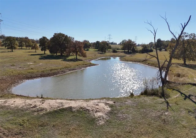 4th image of Tbd Cr 481 Tract 2, Thrall, TX 76578 | MLS# 1832769