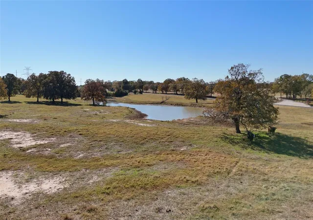 5th image of Tbd Cr 481 Tract 2, Thrall, TX 76578 | MLS# 1832769