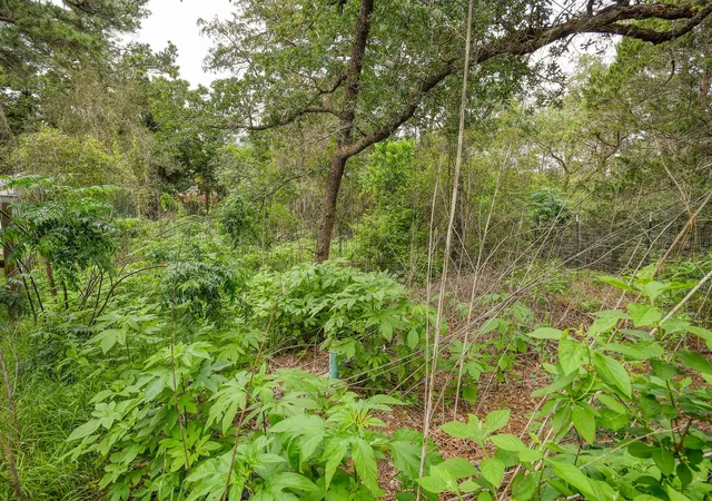 37th image of 127 Serenity Dr, Bastrop, TX 78602 | MLS# 1646349