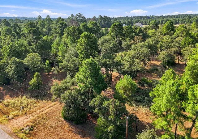Photo 3 of Land for sale at 133 Roundup Rdg, Smithville, TX 78957 | MLS# 9920167 | Listing updated on 2026-09-01