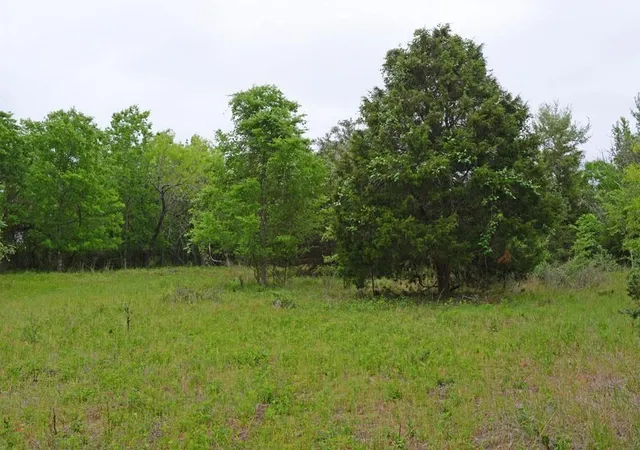 2nd image of 0b Fm 86, Red Rock, TX 78662 | MLS# 4639394