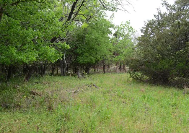 3rd image of 0b Fm 86, Red Rock, TX 78662 | MLS# 4639394