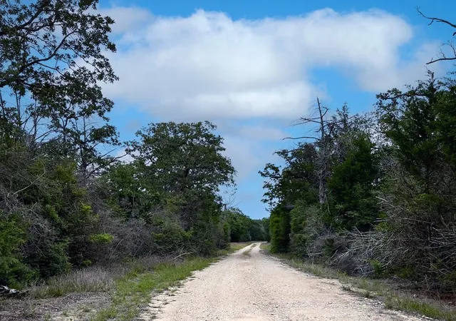 Homes for sale in Ledbetter, TX | 2231 Greens Creek Rd, Ledbetter, TX 78946 | MLS# 4563076