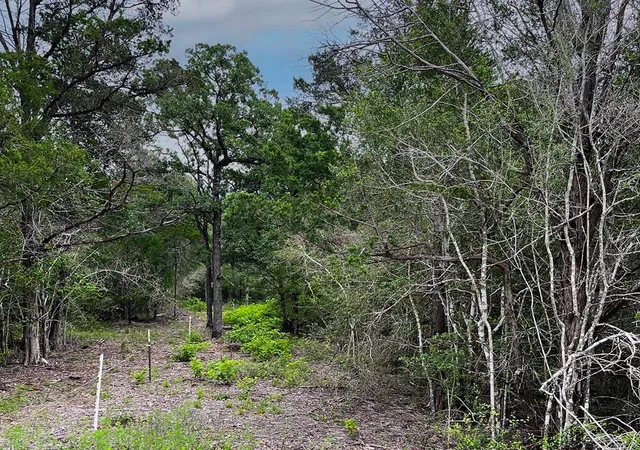 3rd image of 2231 Greens Creek Rd, Ledbetter, TX 78946 | MLS# 4563076