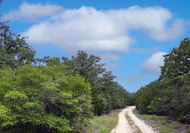 5th image of 2231 Greens Creek Rd, Ledbetter, TX 78946 | MLS# 4563076