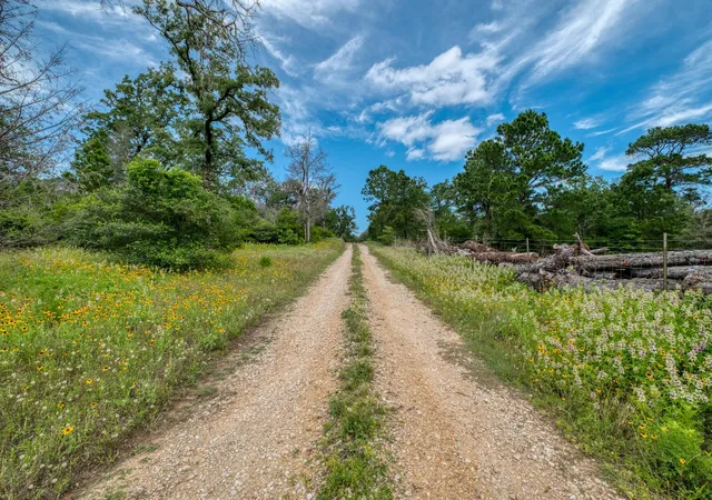 2nd image of Tbd Pathfinders Wy, Smithville, TX 78957 | MLS# 2026391