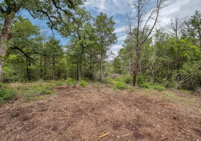 5th image of Tbd Pathfinders Wy, Smithville, TX 78957 | MLS# 2026391