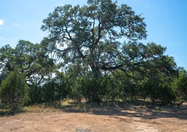 Photo 3 of Single family home for sale at 221 Charro Vista Dr, Driftwood, TX 78619 | MLS# 2802171 | Listing updated on 2026-05-13