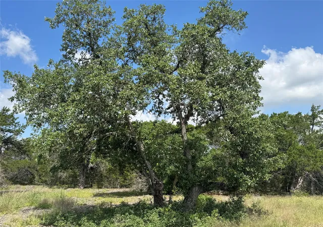2nd image of Lot 37 Riparian Elm Rd, Bertram, TX 78605 | MLS# 1531476