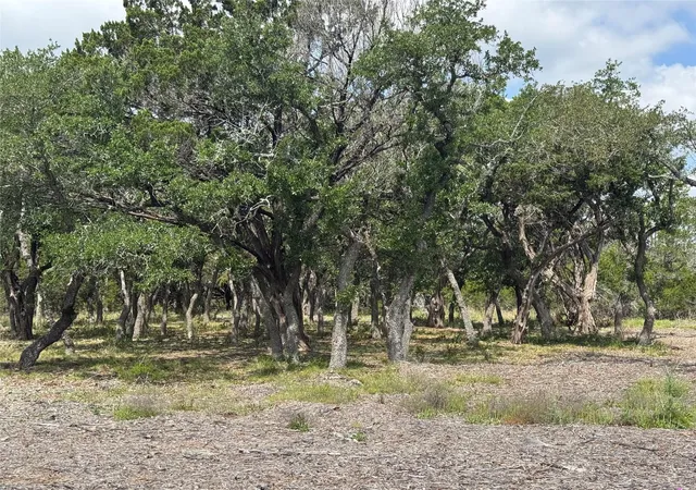 3rd image of Lot 37 Riparian Elm Rd, Bertram, TX 78605 | MLS# 1531476