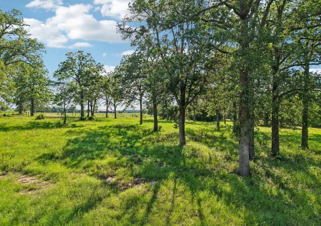 Homes for sale in Giddings, TX | 6 Acres County Road 211, Giddings, TX 78942 | MLS# 4060866