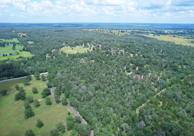 Photo 3 of Land for sale at Tbd Dickerson Ln, Elgin, TX 78621 | MLS# 9605371 | Listing updated on 2026-06-05