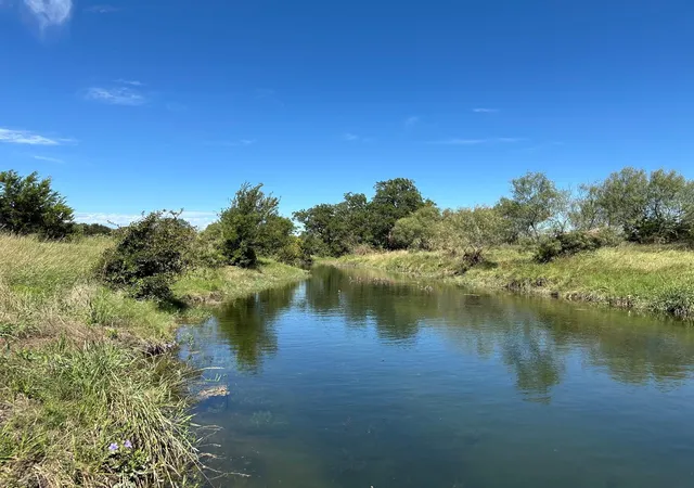 1st image of 23 Acres County Road 330, Bertram, TX 78605 | MLS# 5644267