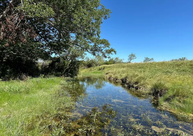 2nd image of 23 Acres County Road 330, Bertram, TX 78605 | MLS# 5644267
