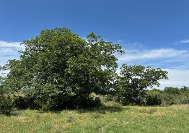 3rd image of 23 Acres County Road 330, Bertram, TX 78605 | MLS# 5644267