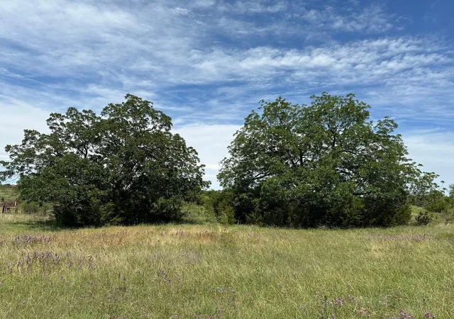 9th image of 23 Acres County Road 330, Bertram, TX 78605 | MLS# 5644267