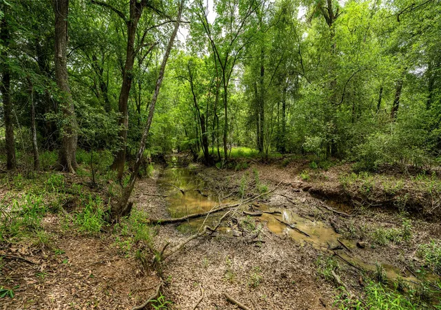 Photo 3 of Land for sale at Esmt County Rd 302, Rockdale, TX | MLS# 2496354 | Listing updated on 2026-05-13