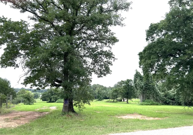 2nd image of Tbd 2 Rosanky Cattle Company Rd, Rosanky, TX 78953 | MLS# 9133987