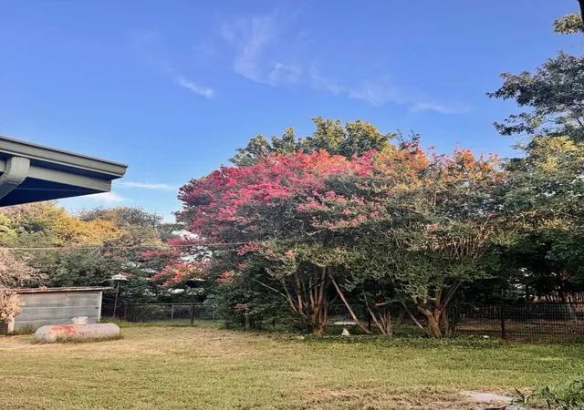 Photo 27 of Single family home for sale at 325 E Rainey St, Mason, TX 76856 | MLS# 4382681 | Listing updated on 2026-09-02