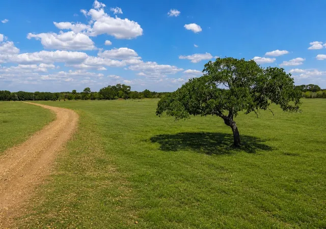 Photo 3 of House for sale at 3995 County Rd 405, Lexington, TX 78947 | MLS# 2631688 | Listing updated on 2026-07-20