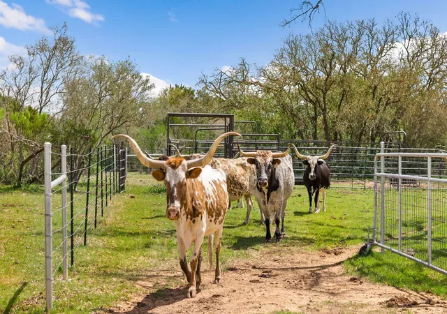 Photo 2 of Land for sale at 8101 Fm 3237, Driftwood, TX 78619 | MLS# 1569706 | Listing updated on 2026-05-14