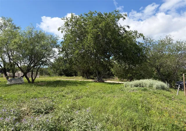 Homes for sale in Kyle, TX | 207 Cresthill Cswy, Kyle, TX 78640 | MLS# 2507158