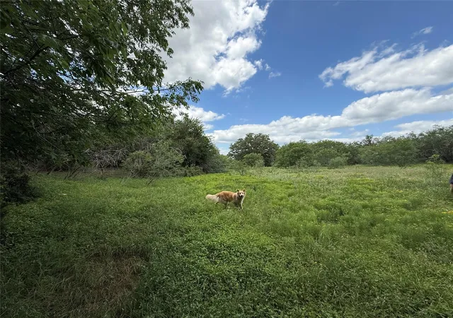 2nd image of Tbd 000 Pettytown Rd, Dale, TX 78616 | MLS# 5588988
