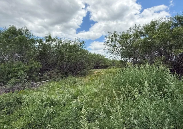 Photo 3 of Land for sale at Tbd 000 Pettytown Rd, Dale, TX 78616 | MLS# 5588988 | Listing updated on 2026-05-20
