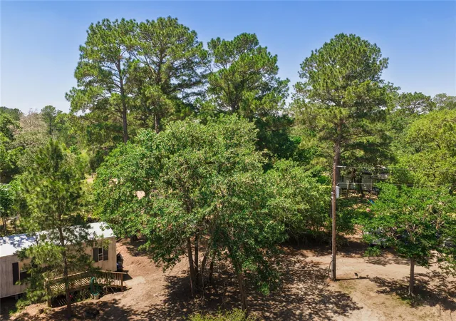 Homes for sale in Paige, TX | 224 Pine Valley Dr, Paige, TX 78659 | MLS# 9228408