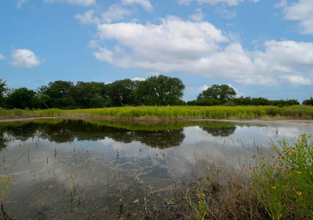 5th image of 450 Cr 204, Burnet, TX 78611 | MLS# 5851976