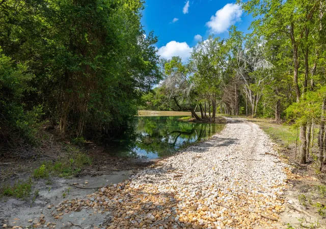 Photo 3 of Land for sale at 2088 (tract #3) Baca Loop, Flatonia, TX 78941 | MLS# 1179051 | Listing updated on 2026-08-04