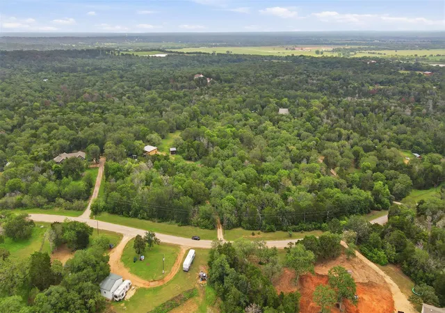 3rd image of 169 Ann Powell Rd, Smithville, TX 78957 | MLS# 5725064