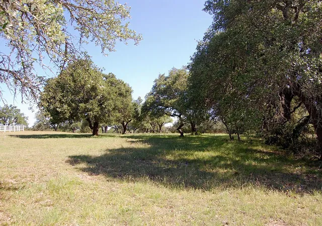 2nd image of 0 Rio Gabriel, Liberty Hill, TX 78642 | MLS# 6981925