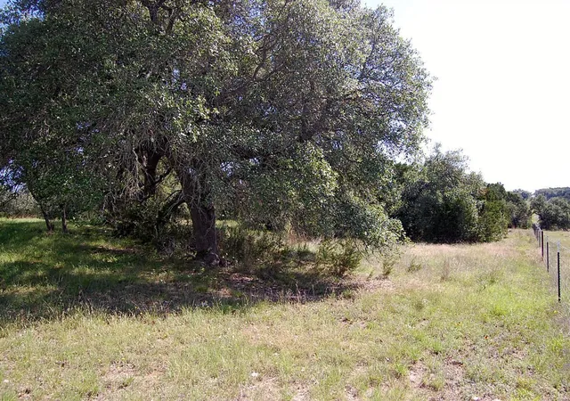 Photo 3 of Land for sale at 0 Rio Gabriel, Liberty Hill, TX 78642 | MLS# 6981925 | Listing updated on 2026-06-10