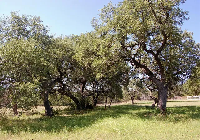 5th image of 0 Rio Gabriel, Liberty Hill, TX 78642 | MLS# 6981925