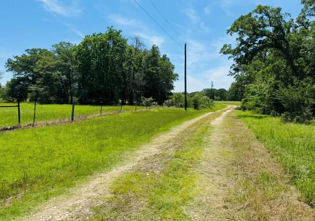 Homes for sale in Lexington, TX | 1300 Private Road 7037, Lexington, TX 78947 | MLS# 9084978