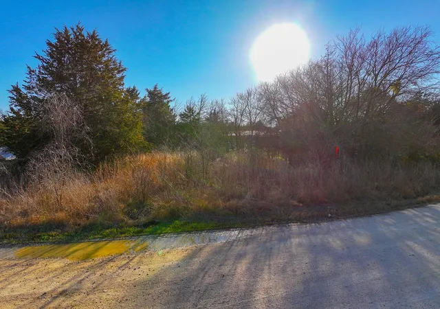 Homes for sale in Purdon, TX | Tbd County Road 3112, Purdon, TX 76639 | MLS# 5283347