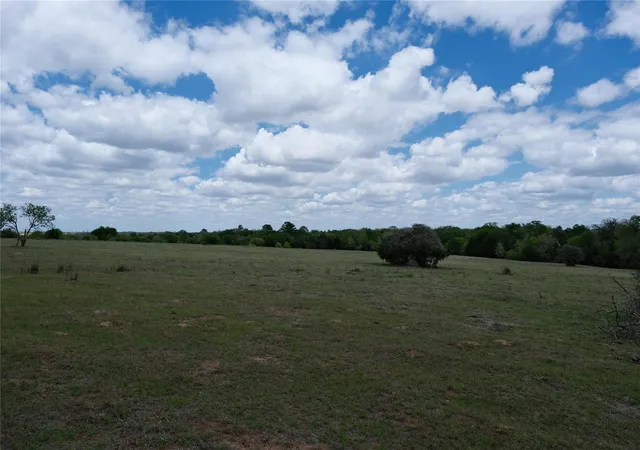 2nd image of 446 Herron Trl, Mc Dade, TX 78650 | MLS# 7403875