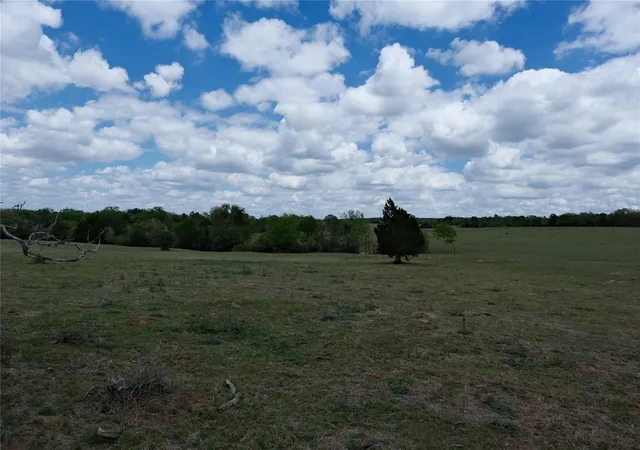 3rd image of 446 Herron Trl, Mc Dade, TX 78650 | MLS# 7403875