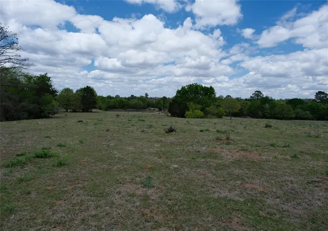 4th image of 446 Herron Trl, Mc Dade, TX 78650 | MLS# 7403875