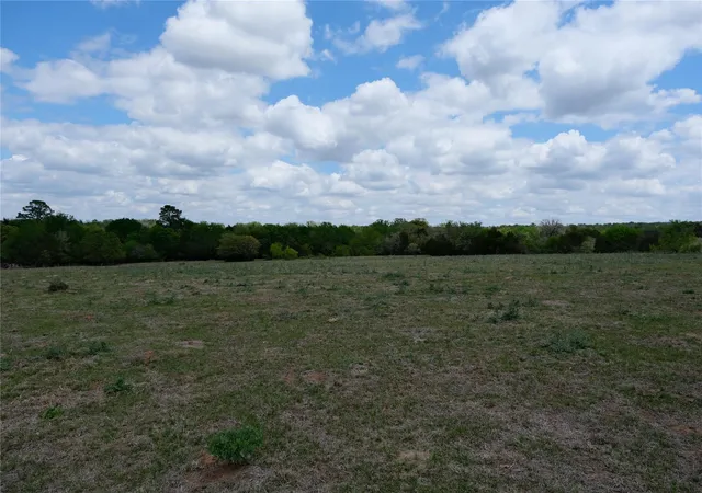 5th image of 446 Herron Trl, Mc Dade, TX 78650 | MLS# 7403875
