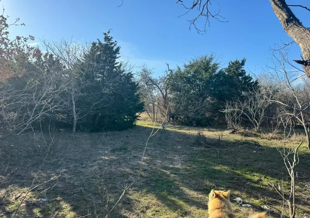 2nd image of 8405 Taylorsville Rd, Dale, TX 78616 | MLS# 6061287