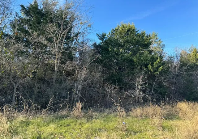 4th image of 8405 Taylorsville Rd, Dale, TX 78616 | MLS# 6061287