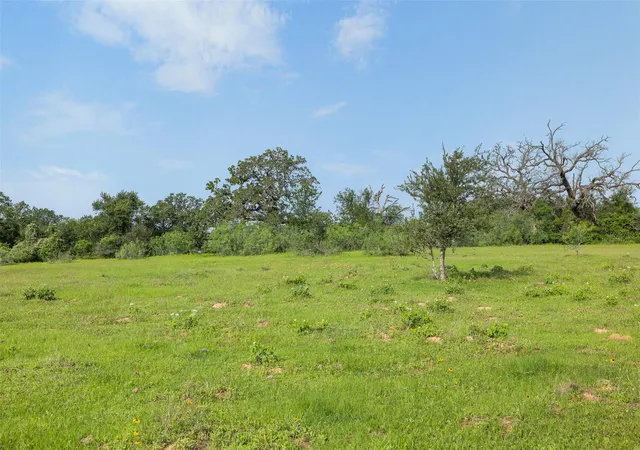 2nd image of Tbd County Road 459 Rd, Thorndale, TX 76577 | MLS# 3406517