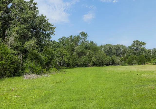 Photo 3 of Land for sale at Tbd County Rd 459, Thorndale, TX 76577 | MLS# 3406517 | Listing updated on 2026-07-21