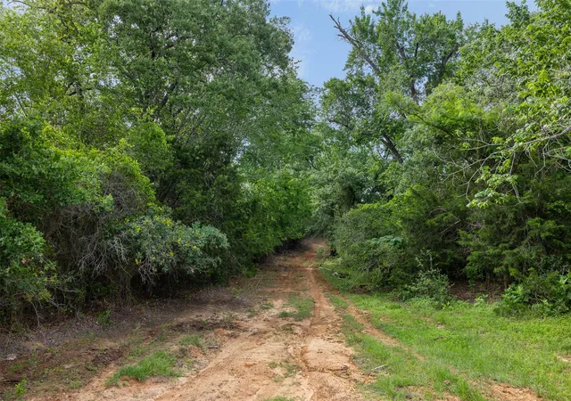 Photo 4 of House for sale at Tbd County Rd 459, Thorndale, TX 76577 | MLS# 3406517 | Listing updated on 2026-07-21