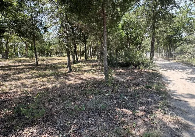 Homes for sale in Elgin, TX | [lot 2] 000 Jordan Ln, Elgin, TX 78621 | MLS# 1789841
