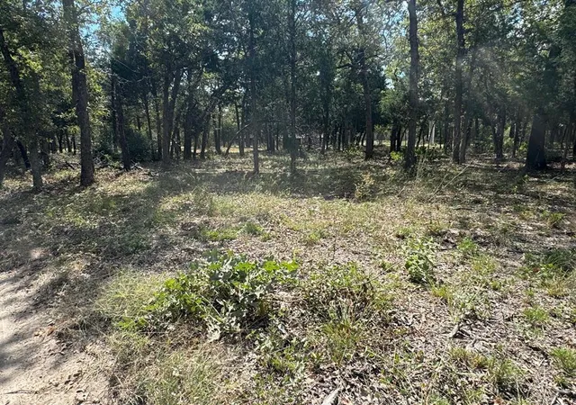 Photo 3 of Land for sale at [lot 1] 000 Jordan Ln, Elgin, TX 78621 | MLS# 5490431 | Listing updated on 2026-06-05
